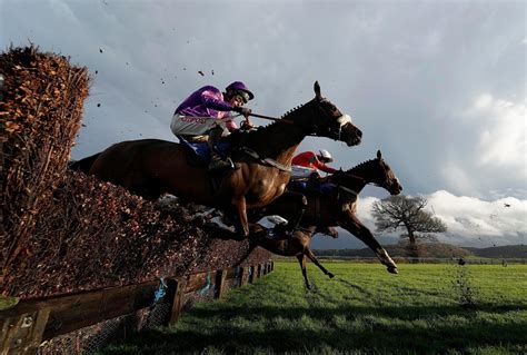 today's runners and riders|Home .